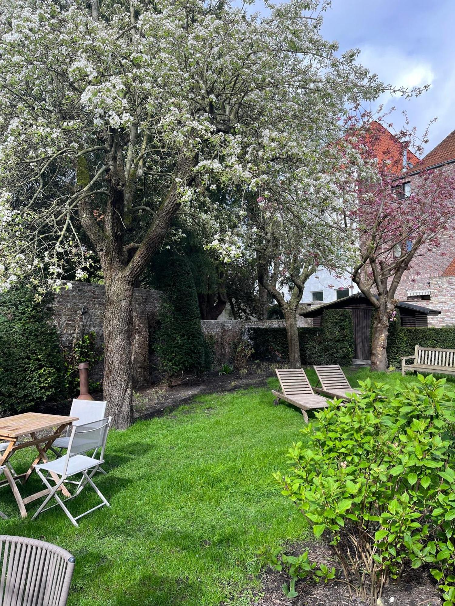 B&B Anna9 Bruggy Exteriér fotografie